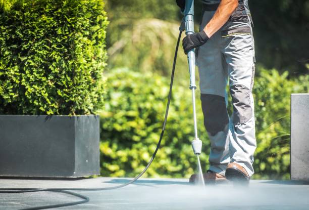 Best Driveway Pressure Washing  in Falfurrias, TX