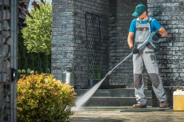 Best Pre-Holiday Cleaning  in Falfurrias, TX